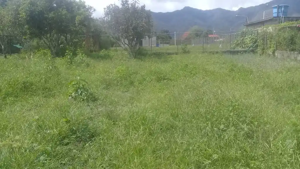 Vista del terreno